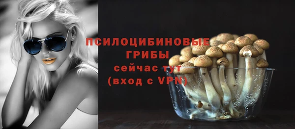 а пвп мука Богородицк