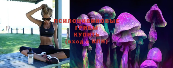 гашик Бугульма