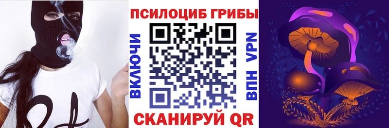 Галлюциногенные грибы ЛСД  OMG онион  дарк нет Telegram  Дубовка 